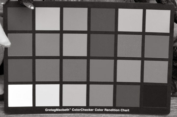 Black And White Film Comparison Chart